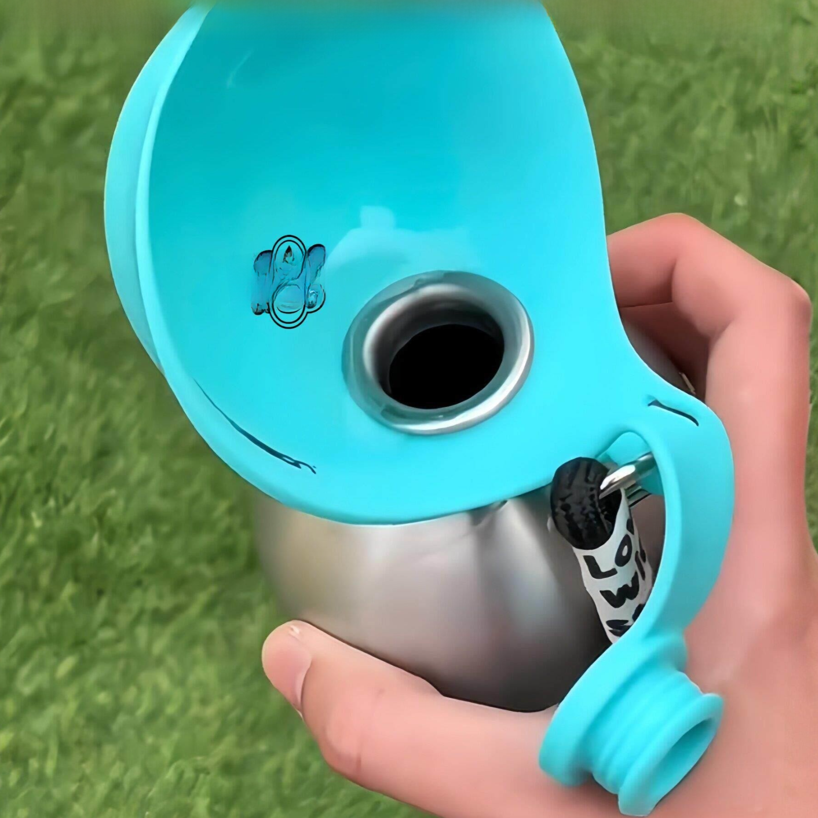 Pet water bottle