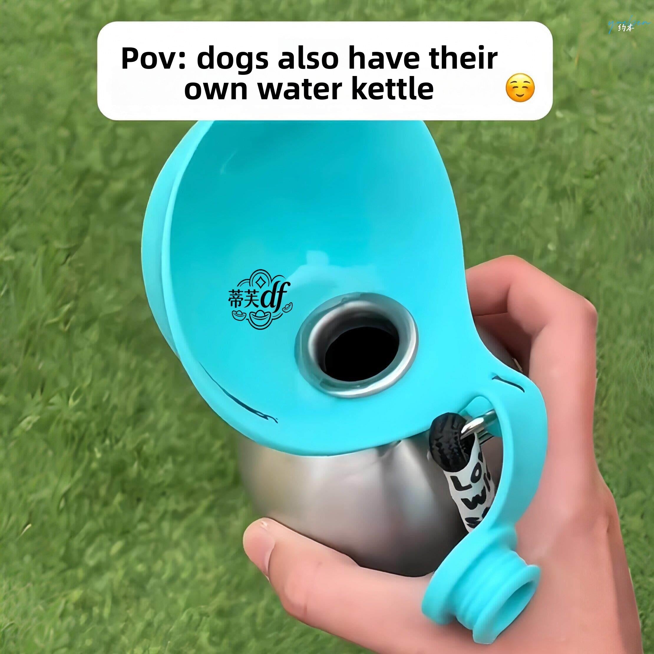 Pet water bottle